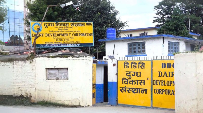 डिडीसीले सुरु गर्‍यो किसानलाई धमाधम भुक्तानी, चार महिनाको बक्यौतामध्ये १२ करोड वितरण