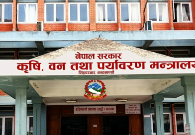 डीडीसी सुधार योजनासँगै किसानलाई दैनिक भुक्तानी, बक्यौता रकम क्रमशः फर्छ्योट हुँदै