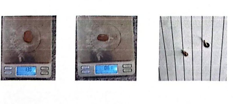 सादा पोसाकको प्रहरी भन्दै लुटपाट गर्ने दुई जना लागूऔषधसहित पक्राउ