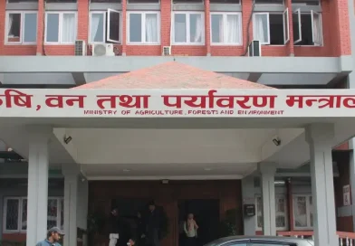 मल अभावको गुनासोबीच सरकारी गोदाममै झण्डै १० करोड किलो रासायनिक मल थन्कियो मल अभावको गुनासोबीच सरकारी गोदाममै झण्डै १० करोड किलो रासायनिक मल थन्कियो