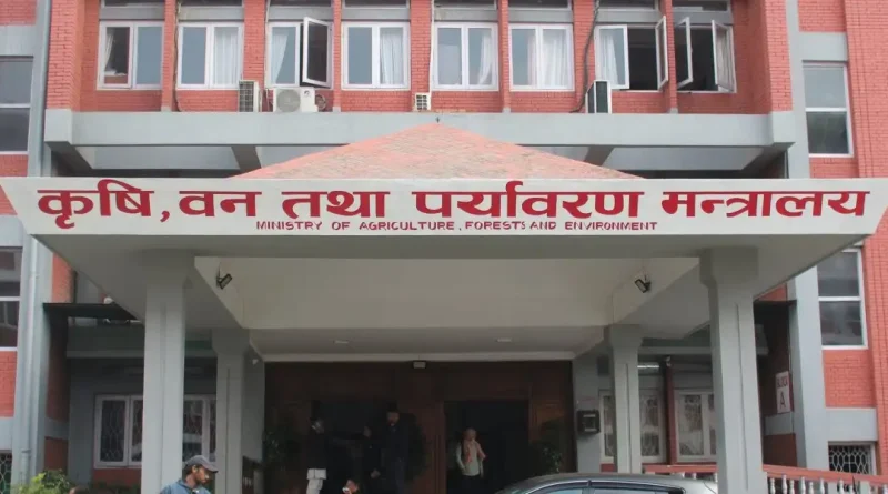 मल अभावको गुनासोबीच सरकारी गोदाममै झण्डै १० करोड किलो रासायनिक मल थन्कियो मल अभावको गुनासोबीच सरकारी गोदाममै झण्डै १० करोड किलो रासायनिक मल थन्कियो