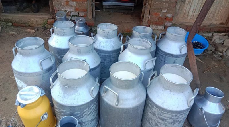 विश्व दूध दिवस आज : पोषण, रोजगारी र ग्रामीण अर्थतन्त्रमा दुग्ध क्षेत्रको महत्वपूर्ण योगदान विश्व दूध दिवस आज : पोषण, रोजगारी र ग्रामीण अर्थतन्त्रमा दुग्ध क्षेत्रको महत्वपूर्ण योगदान