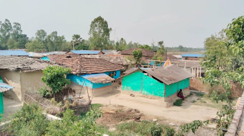 खुला दिसामुक्त’ घोषणामै सीमित उपलब्धि : धनुषाको मुसहर बस्ती अझै शौचालयविहीन खुला दिसामुक्त’ घोषणामै सीमित उपलब्धि : धनुषाको मुसहर बस्ती अझै शौचालयविहीन
