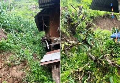 पहिरोले घर मात्र होइन, किसानको रोपाइँ सपना पनि बगायो पहिरोले घर मात्र होइन, किसानको रोपाइँ सपना पनि बगायो