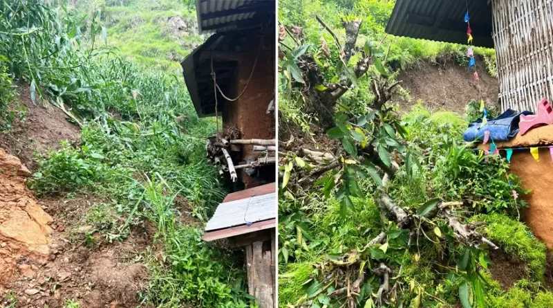 पहिरोले घर मात्र होइन, किसानको रोपाइँ सपना पनि बगायो पहिरोले घर मात्र होइन, किसानको रोपाइँ सपना पनि बगायो