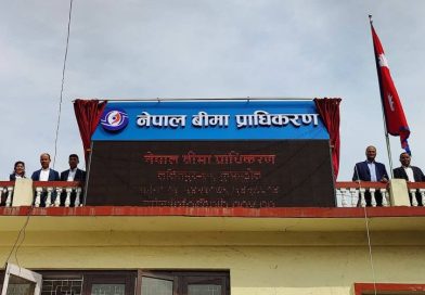 बीमा सर्भेयर निर्देशिकामा संशोधन गर्न संघको माग, ‘नयाँ व्यवस्थाले पेशागत अन्योल बढायो’