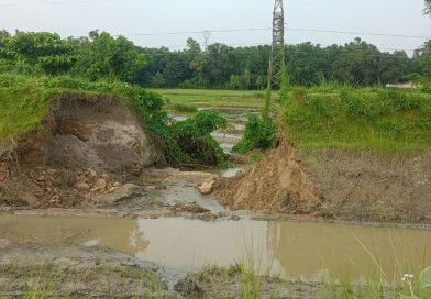 सप्तरीमा कोशी पम्प नहरको बाँध भत्कियो, खेतीयोग्य जमिन डुबानमा