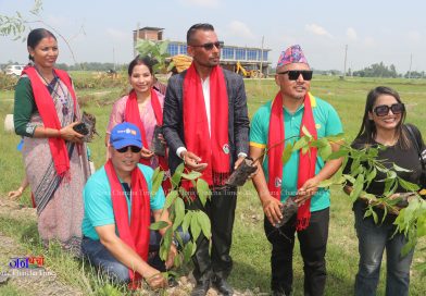इनरुवाको ग्रीनसिटीमा १२ हजार बिरुवा रोप्ने अभियान सुरु इनरुवाको ग्रीनसिटीमा १२ हजार बिरुवा रोप्ने अभियान सुरु