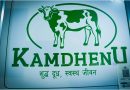 गोठदेखि समृद्धिसम्म : कमलका किसानसँगै अघि बढ्दै कामधेनुको कृषि यात्रा